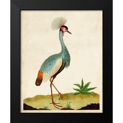 Heron Portrait I Black Modern Wood Framed Art Print by Unknown