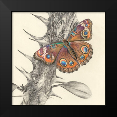 Majestic Butterfly II Black Modern Wood Framed Art Print by Liama, Lily