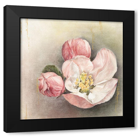 Enlightenment Blossom I Black Modern Wood Framed Art Print with Double Matting by Liama, Lily