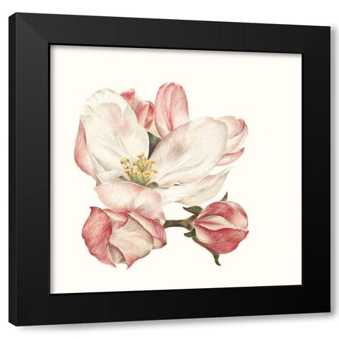 Enlightenment Blossom III Black Modern Wood Framed Art Print with Double Matting by Liama, Lily
