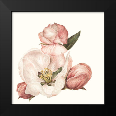Enlightenment Blossom IV Black Modern Wood Framed Art Print by Liama, Lily