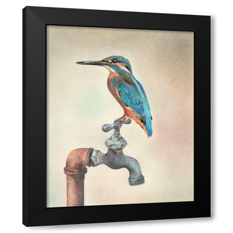 Glory Bird III Black Modern Wood Framed Art Print by Liama, Lily