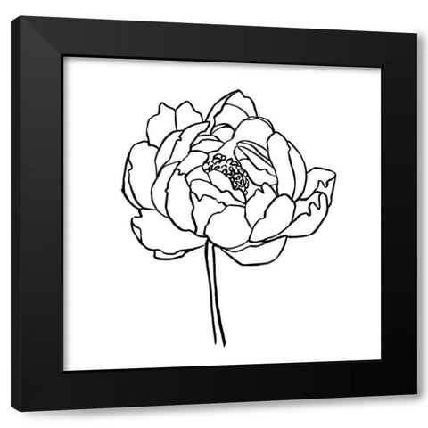 Peony Contour I Black Modern Wood Framed Art Print with Double Matting by Scarvey, Emma