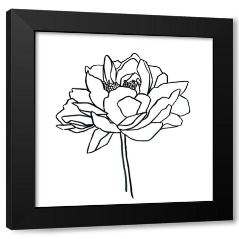 Peony Contour II Black Modern Wood Framed Art Print with Double Matting by Scarvey, Emma