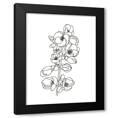 Quince Blossom Contour I Black Modern Wood Framed Art Print with Double Matting by Scarvey, Emma