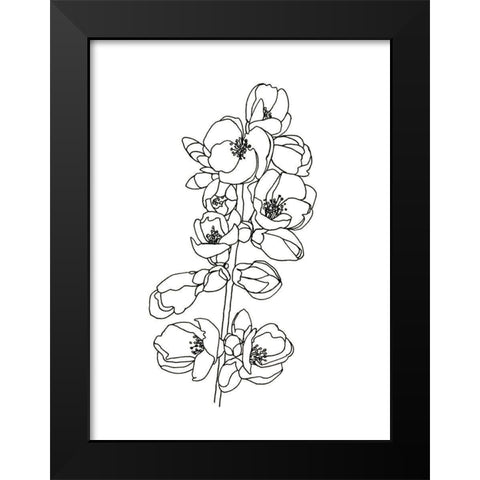 Quince Blossom Contour I Black Modern Wood Framed Art Print by Scarvey, Emma