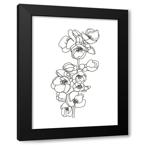 Quince Blossom Contour II Black Modern Wood Framed Art Print with Double Matting by Scarvey, Emma