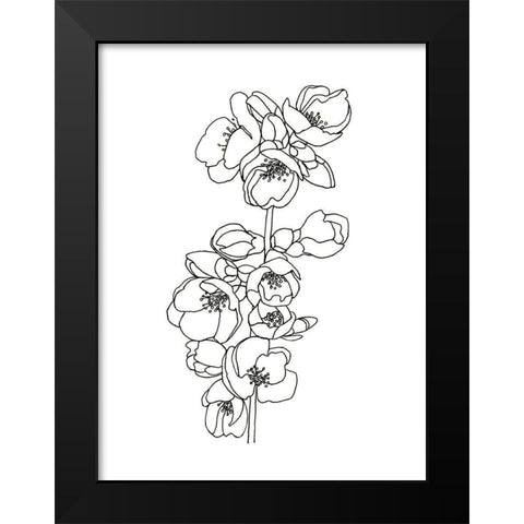 Quince Blossom Contour II Black Modern Wood Framed Art Print by Scarvey, Emma