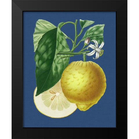 French Lemon on Navy I Black Modern Wood Framed Art Print by Risso, A.