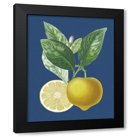 French Lemon on Navy II Black Modern Wood Framed Art Print with Double Matting by Risso, A.