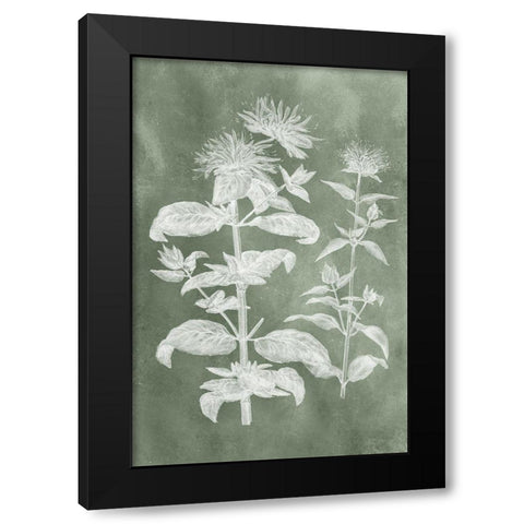 Sage Impressions III Black Modern Wood Framed Art Print with Double Matting by Vision Studio