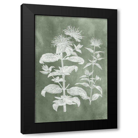 Sage Impressions III Black Modern Wood Framed Art Print by Vision Studio