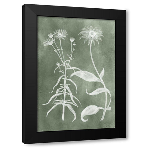 Sage Impressions IV Black Modern Wood Framed Art Print by Vision Studio