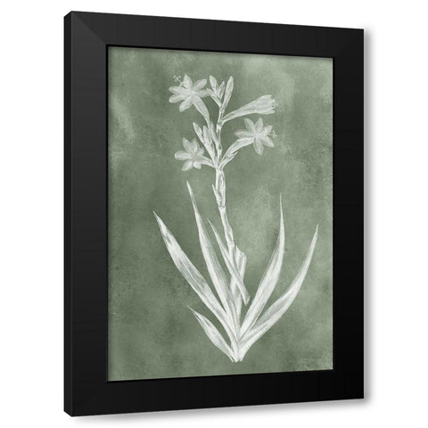 Sage Impressions V Black Modern Wood Framed Art Print with Double Matting by Vision Studio