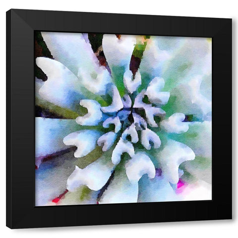 Succulente I Black Modern Wood Framed Art Print with Double Matting by Bolick, Vicki Gladle