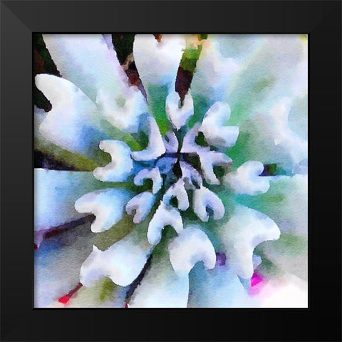 Succulente I Black Modern Wood Framed Art Print by Bolick, Vicki Gladle