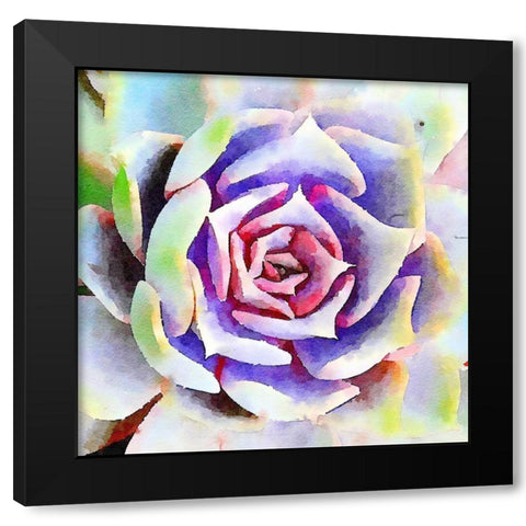 Succulente II Black Modern Wood Framed Art Print by Bolick, Vicki Gladle