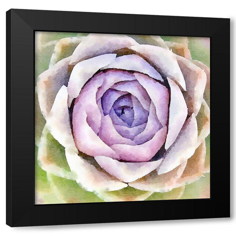 Succulente IV Black Modern Wood Framed Art Print by Bolick, Vicki Gladle