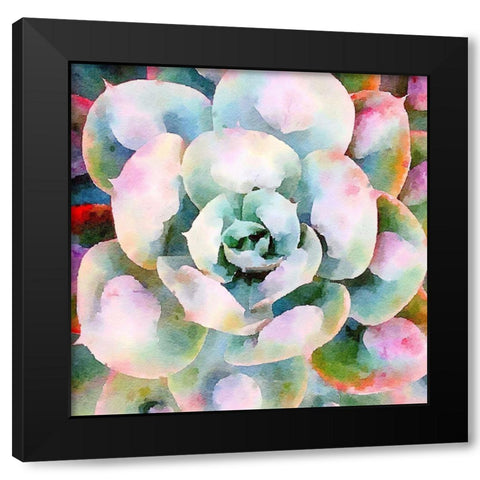 Succulente V Black Modern Wood Framed Art Print with Double Matting by Bolick, Vicki Gladle