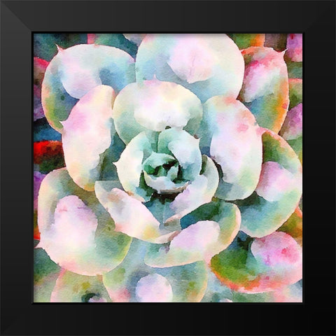Succulente V Black Modern Wood Framed Art Print by Bolick, Vicki Gladle