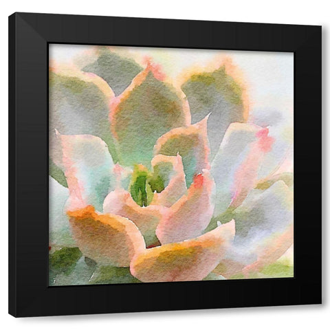 Succulente XI Black Modern Wood Framed Art Print by Bolick, Vicki Gladle