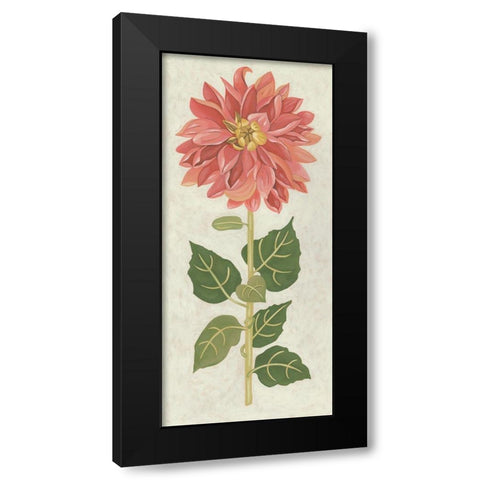 Non-Embellished Dahlia I Black Modern Wood Framed Art Print with Double Matting by Zarris, Chariklia