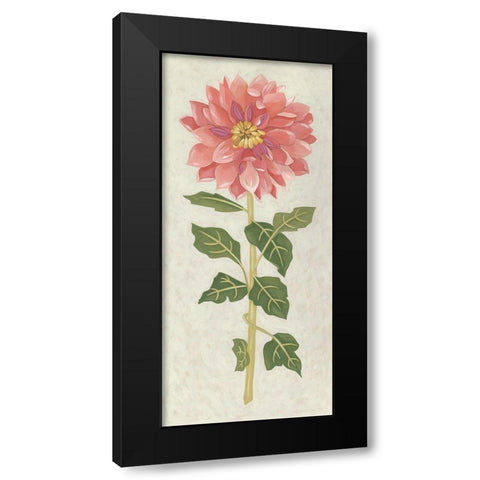 Non-Embellished Dahlia II Black Modern Wood Framed Art Print with Double Matting by Zarris, Chariklia