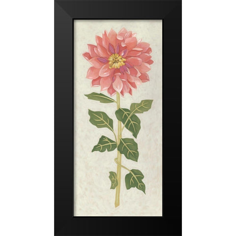 Non-Embellished Dahlia II Black Modern Wood Framed Art Print by Zarris, Chariklia