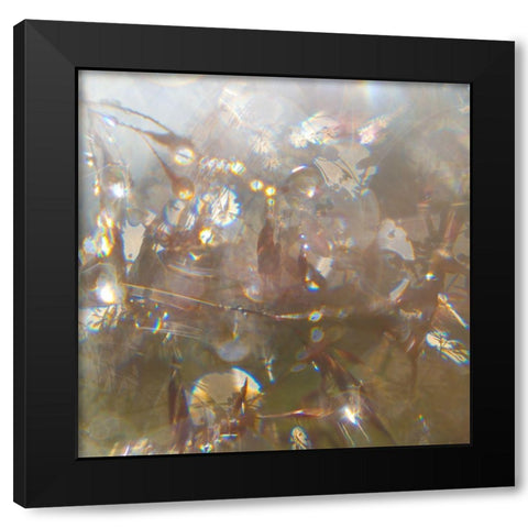 Angel Drops II Black Modern Wood Framed Art Print by Hunt, Gillian