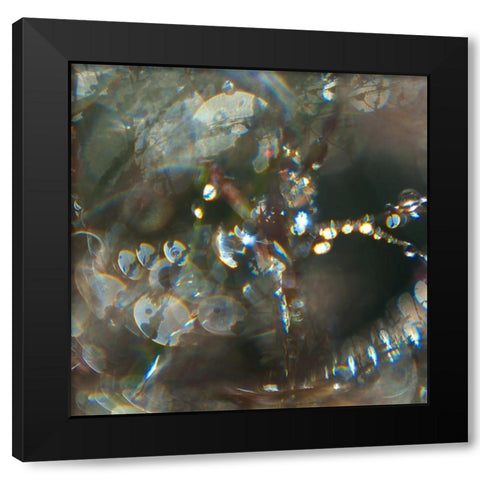 Angel Drops III Black Modern Wood Framed Art Print with Double Matting by Hunt, Gillian