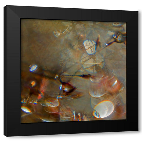 Angel Drops IV Black Modern Wood Framed Art Print by Hunt, Gillian