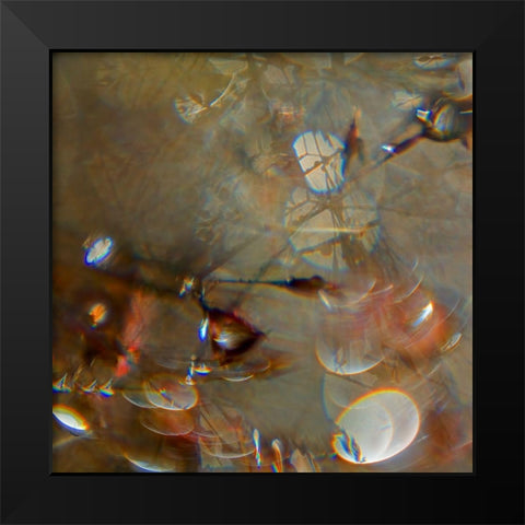 Angel Drops IV Black Modern Wood Framed Art Print by Hunt, Gillian