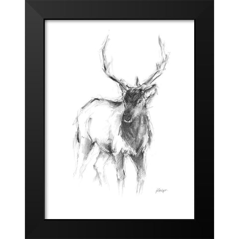 Western Animal Sketch II Black Modern Wood Framed Art Print by Harper, Ethan