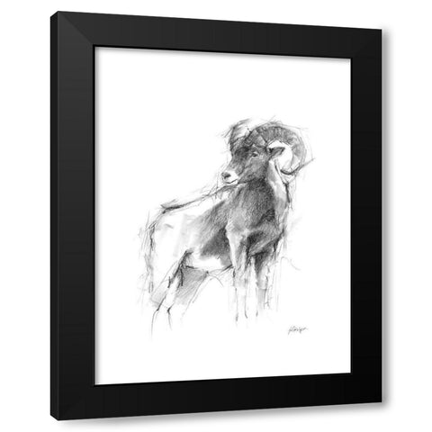 Western Animal Sketch III Black Modern Wood Framed Art Print with Double Matting by Harper, Ethan