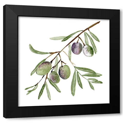 Olive Branch I Black Modern Wood Framed Art Print with Double Matting by Wang, Melissa