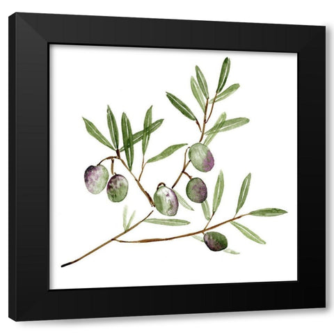 Olive Branch II Black Modern Wood Framed Art Print with Double Matting by Wang, Melissa