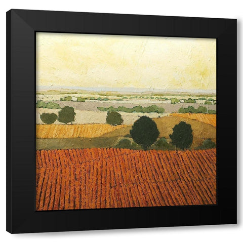After Harvest Black Modern Wood Framed Art Print with Double Matting by Friedlander, Allen