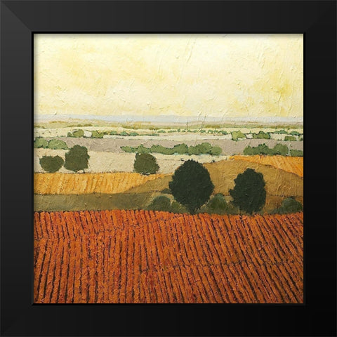 After Harvest Black Modern Wood Framed Art Print by Friedlander, Allen