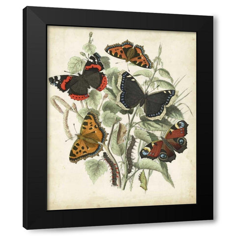 Non-Embellished Butterfly Haven I Black Modern Wood Framed Art Print with Double Matting by Vision Studio