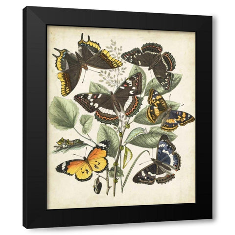 Non-Embellished Butterfly Haven II Black Modern Wood Framed Art Print with Double Matting by Vision Studio