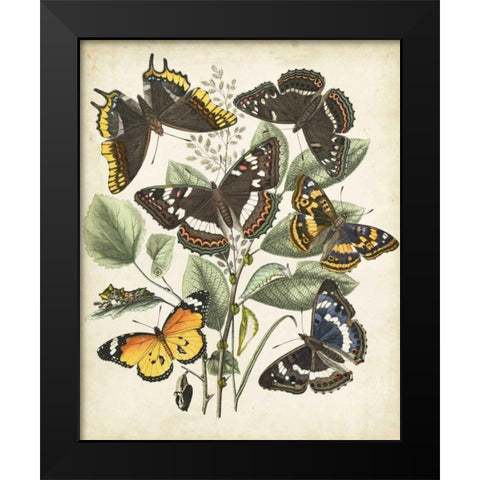 Non-Embellished Butterfly Haven II Black Modern Wood Framed Art Print by Vision Studio