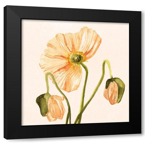 Highpoint Poppies I Black Modern Wood Framed Art Print with Double Matting by Scarvey, Emma