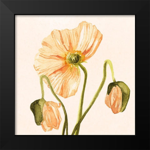 Highpoint Poppies I Black Modern Wood Framed Art Print by Scarvey, Emma