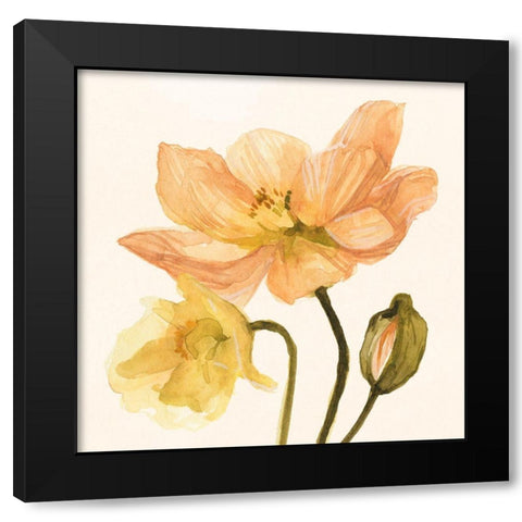 Highpoint Poppies II Black Modern Wood Framed Art Print with Double Matting by Scarvey, Emma