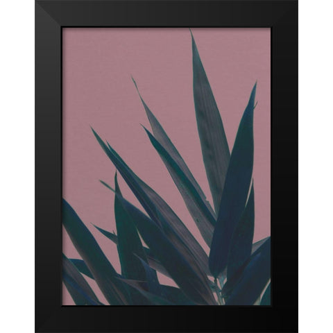Bamboo Pink II Black Modern Wood Framed Art Print by Stramel, Renee W.