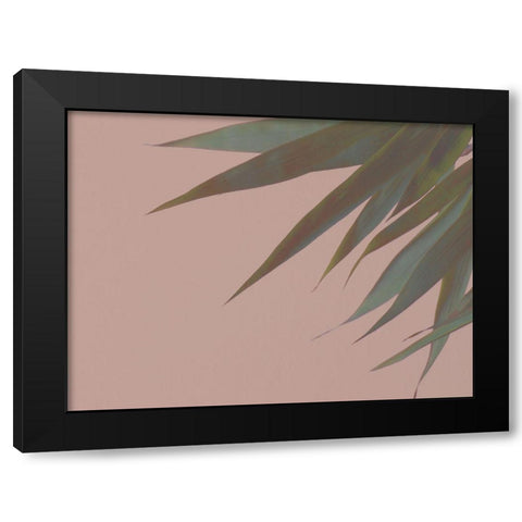 Bamboo Pink III Black Modern Wood Framed Art Print by Stramel, Renee W.
