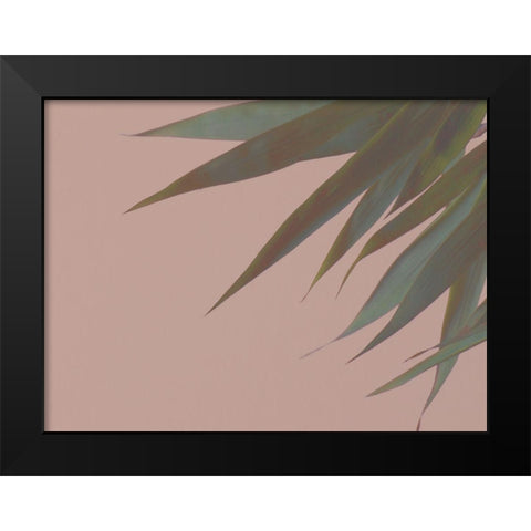 Bamboo Pink III Black Modern Wood Framed Art Print by Stramel, Renee W.