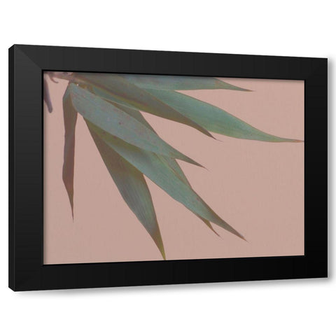 Bamboo Pink IV Black Modern Wood Framed Art Print with Double Matting by Stramel, Renee W.
