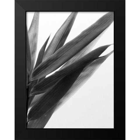 BandW Bamboo I Black Modern Wood Framed Art Print by Stramel, Renee W.