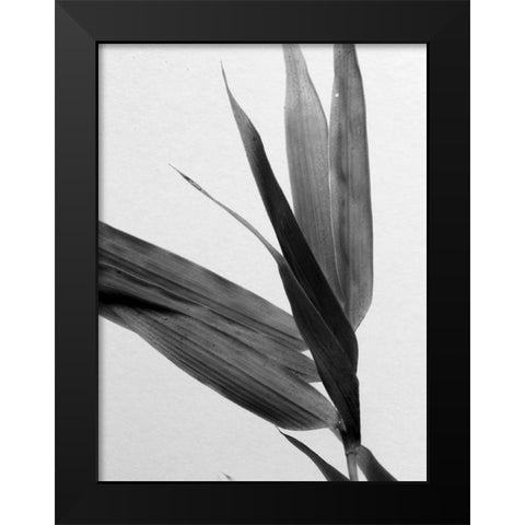 BandW Bamboo III Black Modern Wood Framed Art Print by Stramel, Renee W.